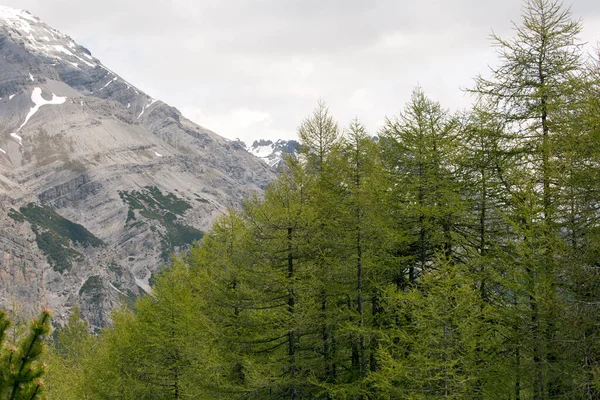 Een Berglandschap Bij Bormio Italië — Stockfoto