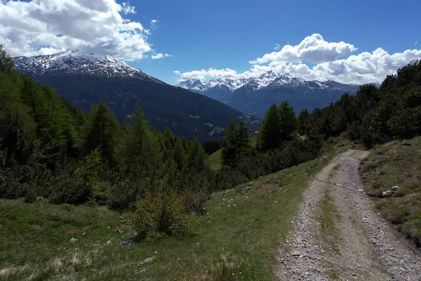 Een Berglandschap Bij Bormio Italië — Stockfoto