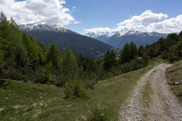 Een Berglandschap Bij Bormio Italië — Stockfoto