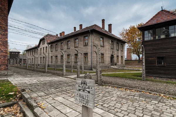 Muzeum Auschwitz — Zdjęcie stockowe