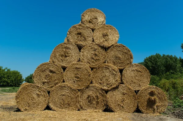 Strohballen — Stockfoto