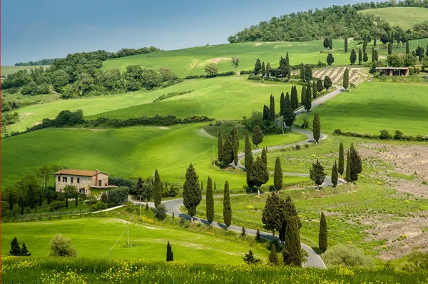 Paesaggio in Toscana — Foto Stock