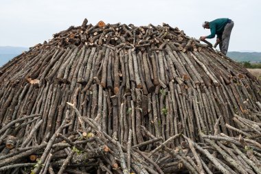 Working in charcoal production
