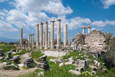 afrodisias, Türkiye'nin kalıntıları