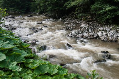 Bosna ve Hersek'te akışı