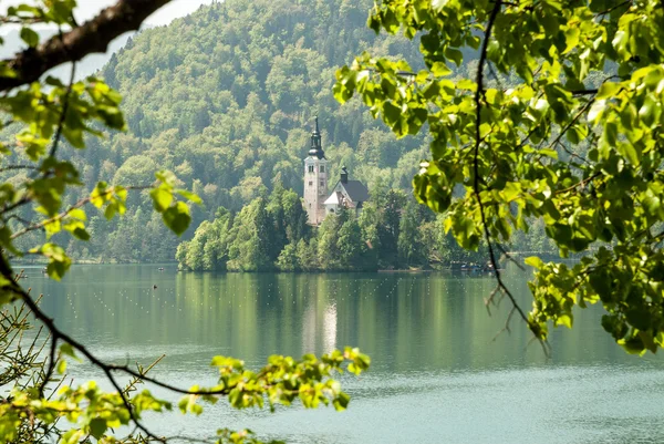 Lago Bled, Eslovenia —  Fotos de Stock