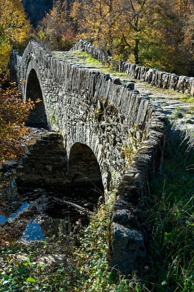 Widok Tradycyjny Kamienny Most Mylos Epirusie Grecja Autum — Zdjęcie stockowe