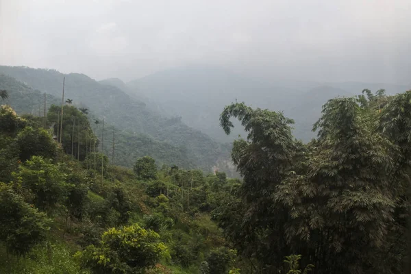 Widok Las Góry Parku Narodowym Tajwanie — Zdjęcie stockowe