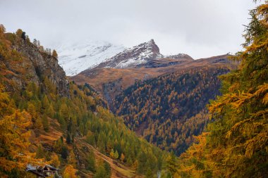 İsviçre 'de sonbaharda kar yağışı manzarası