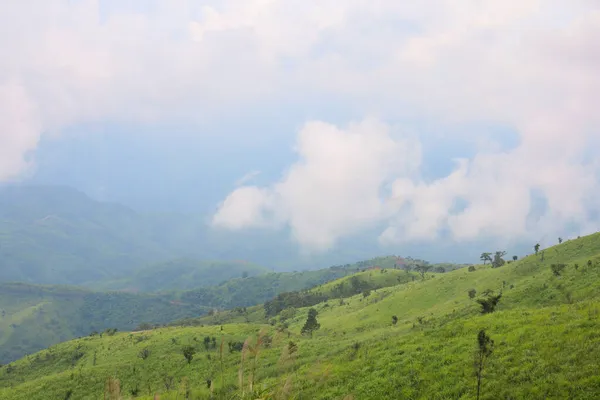 Vista Del Paisaje Hierba Verde Naturaleza Montaña Temporada Lluvias Tailandia — Foto de Stock