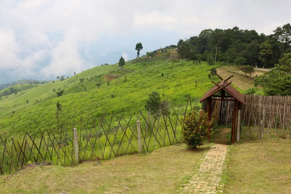 View Landscape Green Grass Nature Mountain Rainny Season Ththailand — стоковое фото