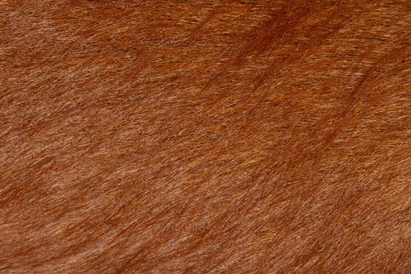 Doku Desen Için Kahverengi Köpek Derisi Kadar Yakın — Stok fotoğraf