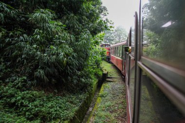 Alishan, Tayvan-14 Ekim 2018: Alishan Dağı, Tayvan 'daki alishan hattında sisli bir günde kırmızı tren hareket ediyor.