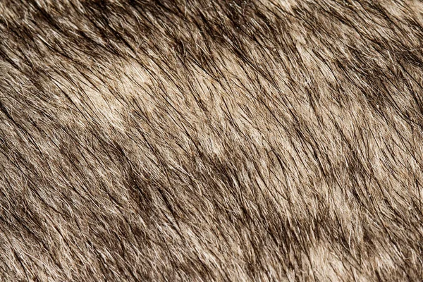 Nahaufnahme Schwarzer Und Weißer Hundehaut Für Textur Und Muster — Stockfoto