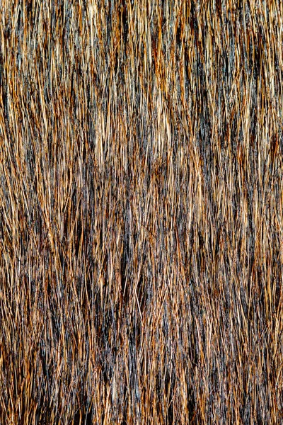 Fechar Pele Cão Preto Marrom Para Textura Padrão — Fotografia de Stock