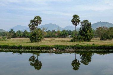 Dağın manzarası ve Tayland 'daki doğa parkı.