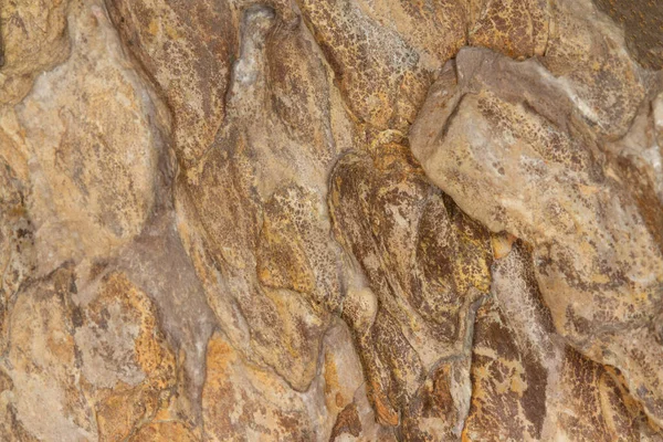 Закрыть Кожу Дракона Камень Текстуры Природного Фона Кожи — стоковое фото
