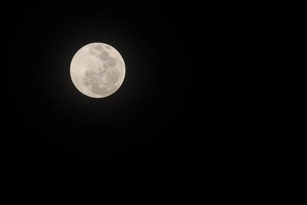 Cerca Luna Llena Amarilla Cielo Negro — Foto de Stock