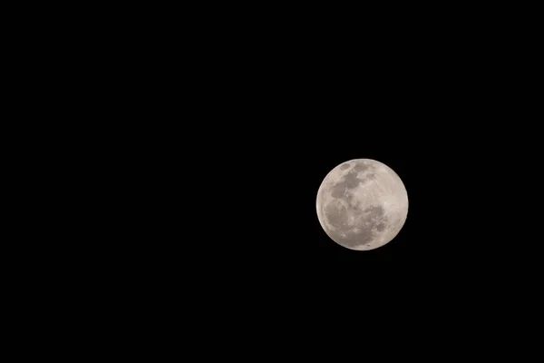 Tutup Bulan Purnama Kuning Langit Hitam — Stok Foto