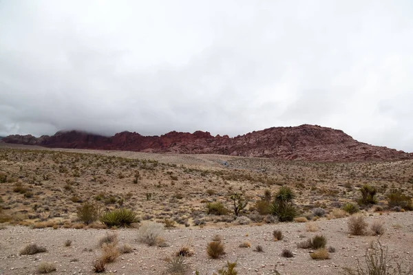 Nevada Abd Foggy Gün Red Rock Canyon Milli Parkı Görünümü — Stok fotoğraf