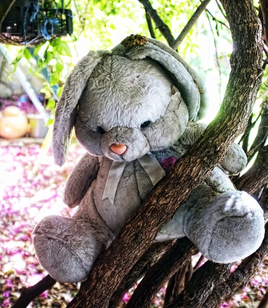 Teddy em um galho de árvore — Fotografia de Stock