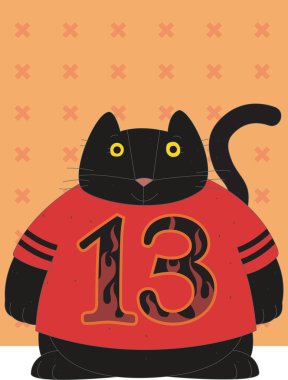 kedi 13 yaşında