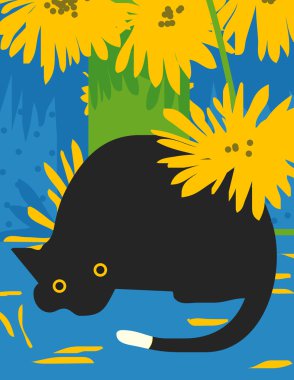 siyah kedi şaşırmış görünüyor