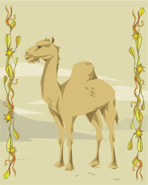 Верблюд ілюстративний — стокове фото