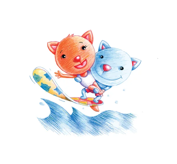 Surfen katten — Stockfoto