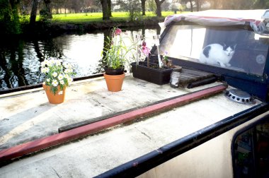 Houseboat on canal with flower pots clipart
