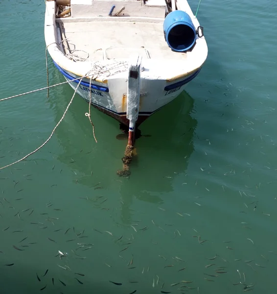 Trochę łódź z niektórych ryb zadokowany — Zdjęcie stockowe