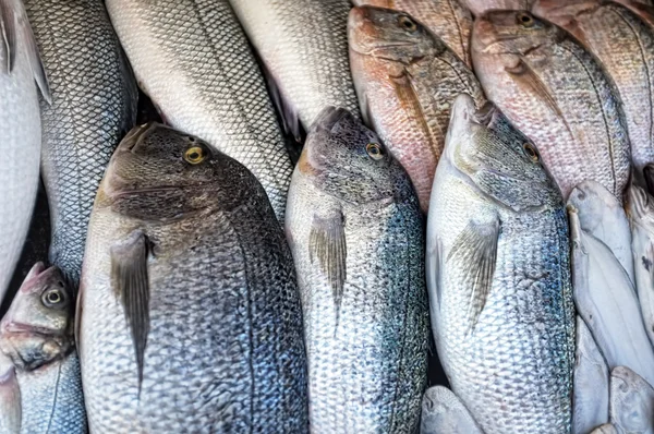 Fisch auf dem Markt — Stockfoto