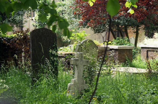 Pietre tombali circondate da piante e alberi — Foto Stock