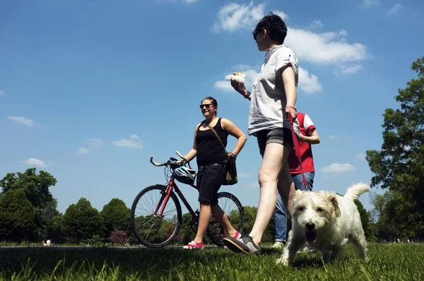 Folk og en hund som går i en park – stockfoto