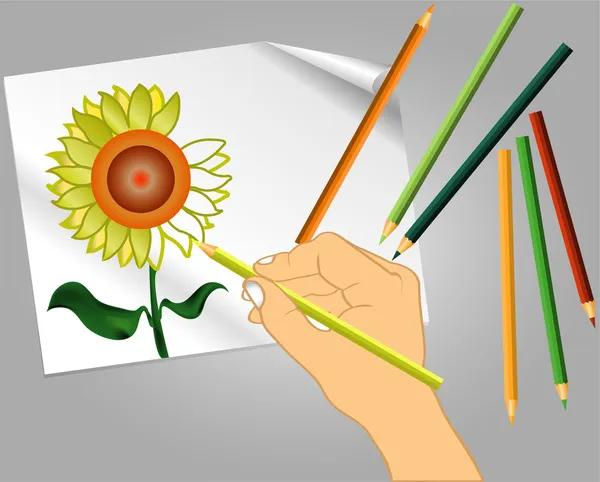 Drawing a flower — Stock Vector