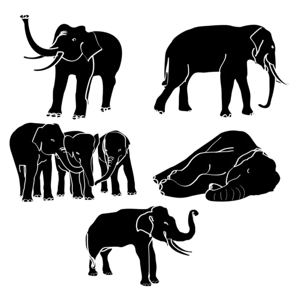 Vecteur d'éléphant — Image vectorielle