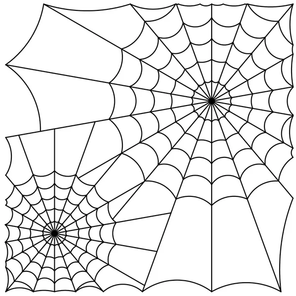 Spinnenwebvector — Stockvector