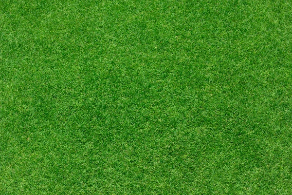Grönt gräs bakgrund struktur — Stockfoto