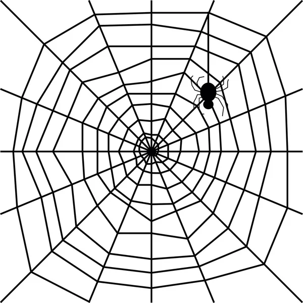 거미줄과 거미 실루엣 벡터 — 스톡 벡터