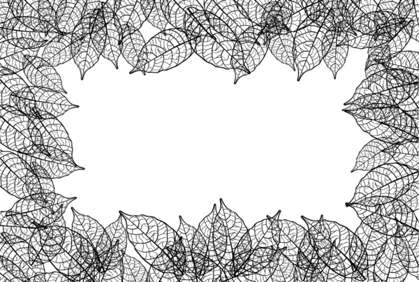 Blätter Rahmen schwarze Linie Hintergrund — Stockvektor