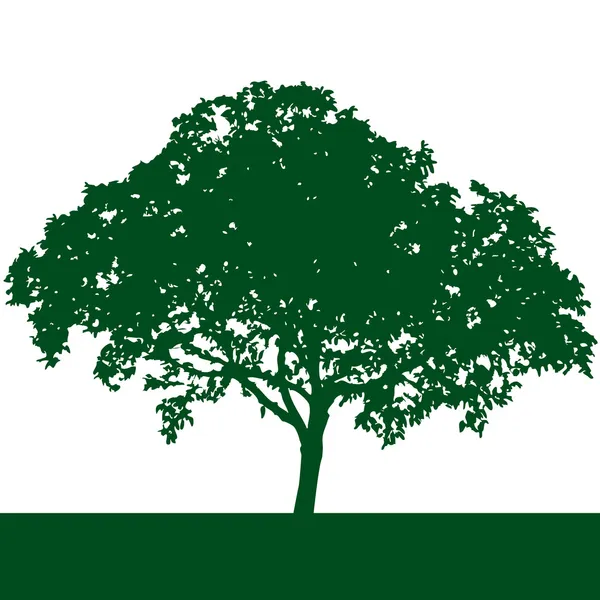 Árbol silueta vector — Vector de stock