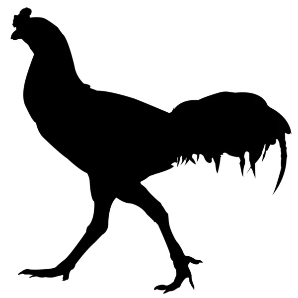 Polla silueta de pollo vector — Archivo Imágenes Vectoriales