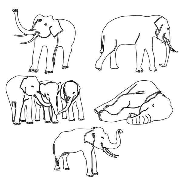 Sloní aktivity vektor — Stockový vektor