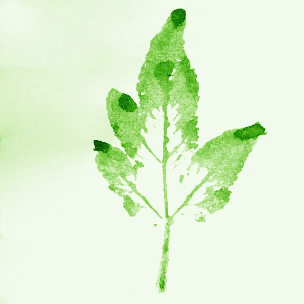 Leaves stamp watercolor — Stock Photo, Image