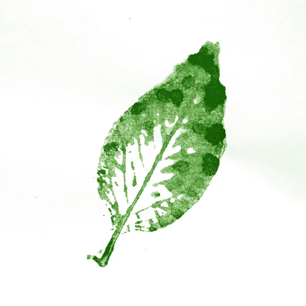 Leaves stamp watercolor — Stock Photo, Image