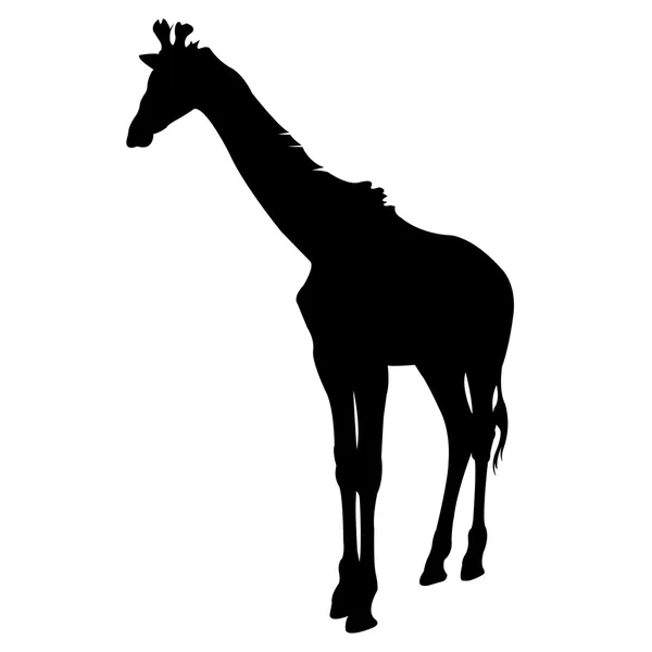 Žirafa silueta vektor — Stockový vektor