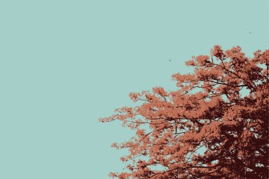 alev ağaçlar vektör