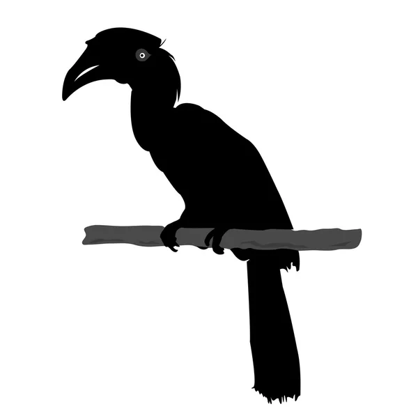 Hornbill silhouette vector — Stock Vector