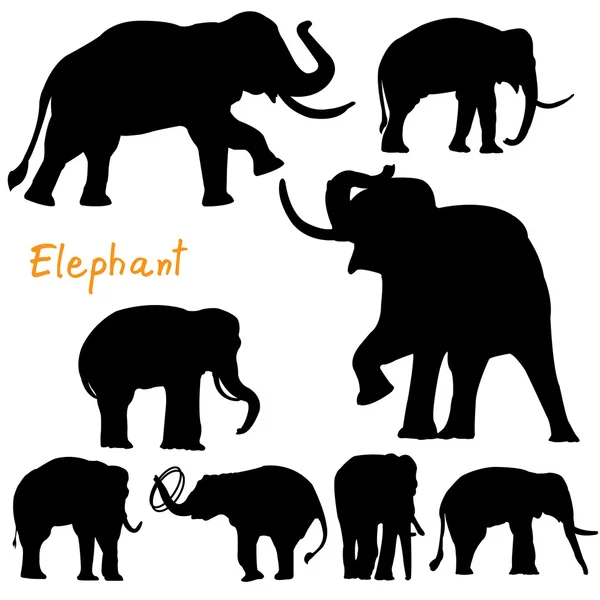 Silhouette du vecteur éléphant — Image vectorielle