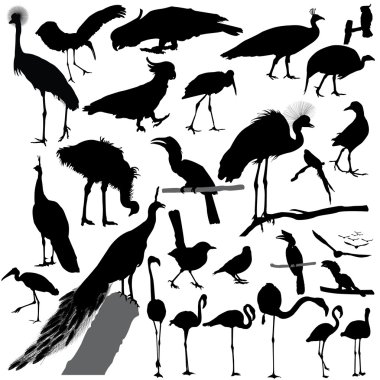 kuş siluet vektör ayarla